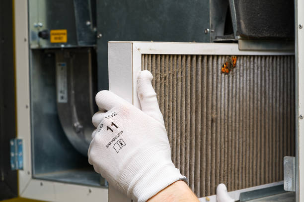 Best Local Air Duct Cleaning Services  in Brushy Creek, TX