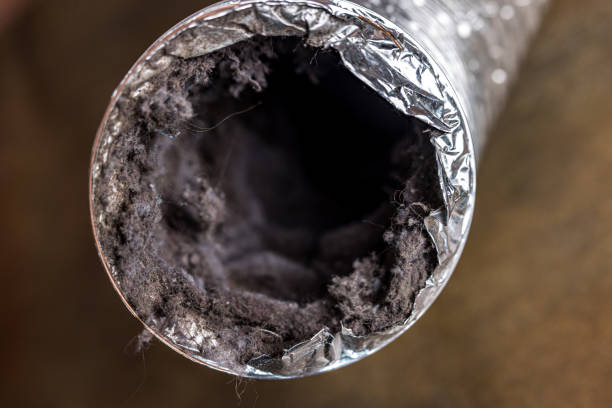 Best Professional Duct Cleaning Services  in Brushy Creek, TX